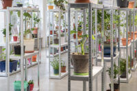 Talking Heads, Galerie Nord | Kunstverein Tiergarten, 2023