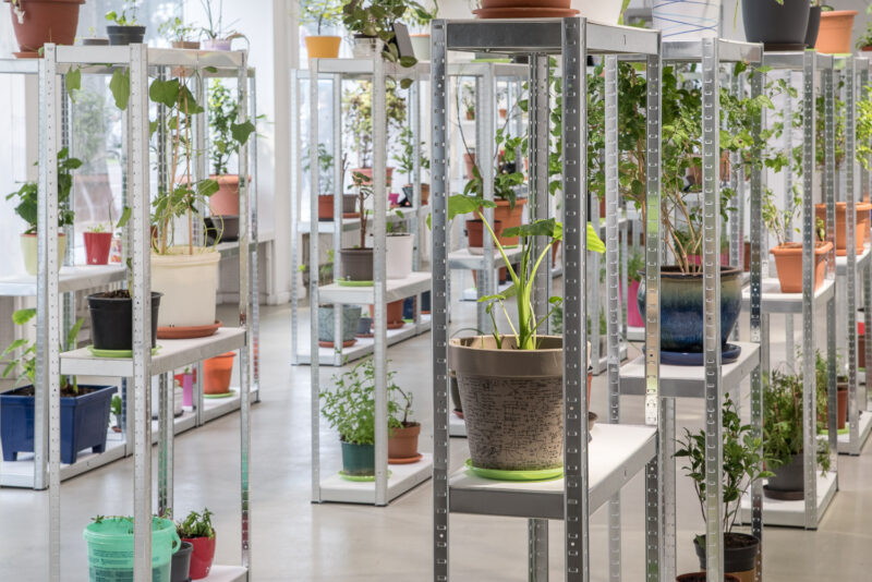 Talking Heads, Galerie Nord | Kunstverein Tiergarten, 2023