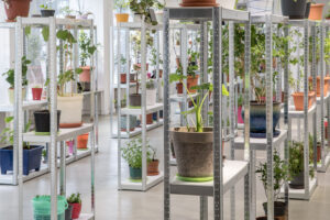 Talking Heads, Galerie Nord | Kunstverein Tiergarten, 2023